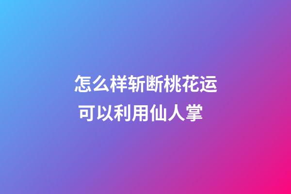 怎么样斩断桃花运 可以利用仙人掌